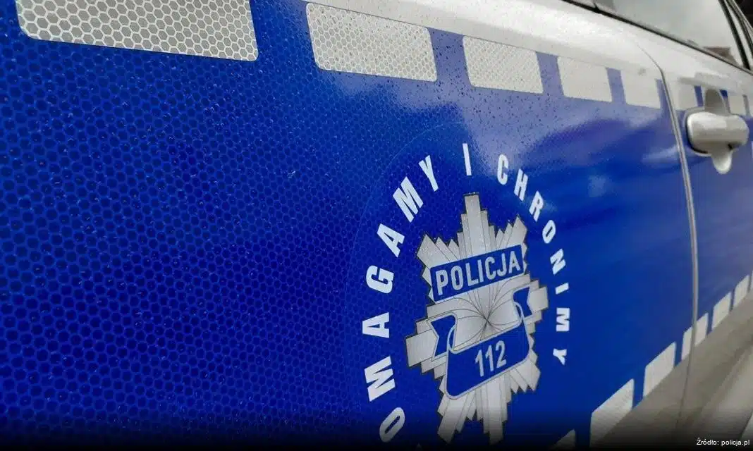 Zadbanie o bezpieczeństwo w ogródkach działkowych – priorytet dla każdego działkowicza