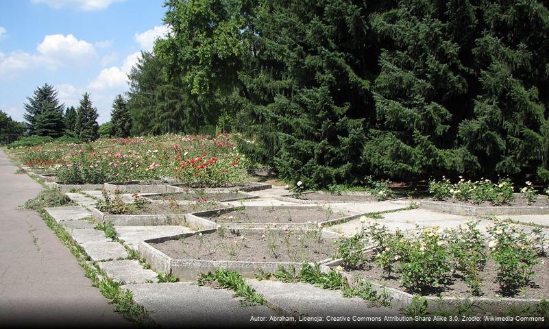 Rosarium w Parku Śląskim