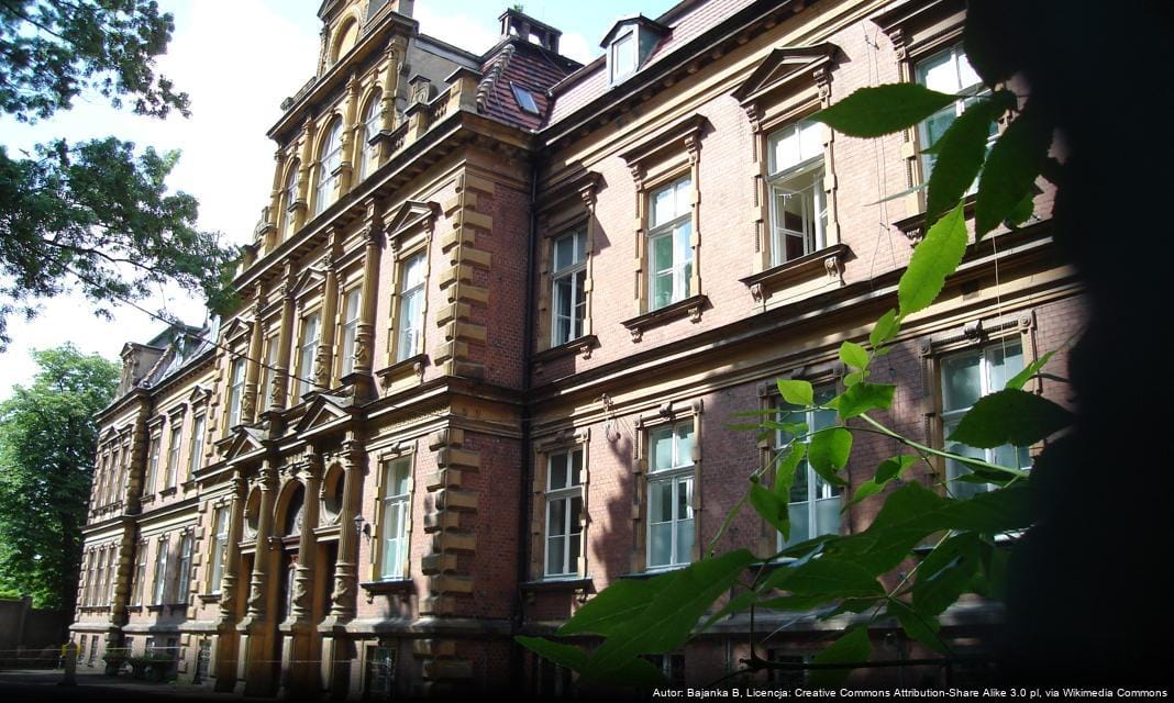 Tymczasowe prace na DTŚ w rejonie ul. Gałeczki