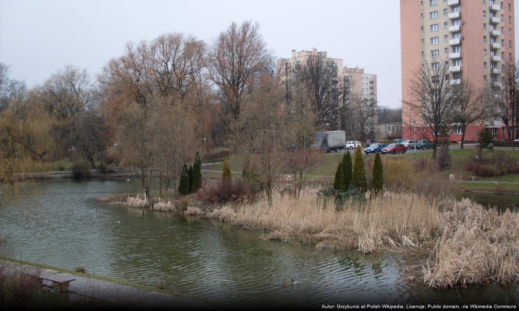 Chorzowscy Sportowcy Otrzymali Nagrody Prezydenta Miasta