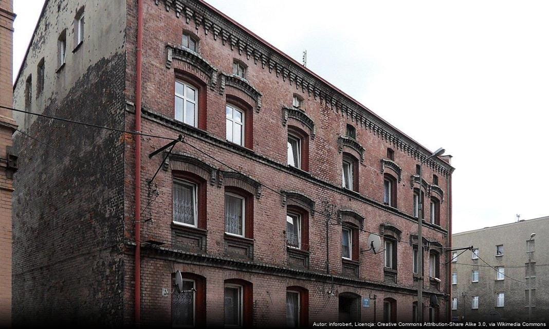 Odbiór choinek w Chorzowie – szczegóły dla mieszkańców